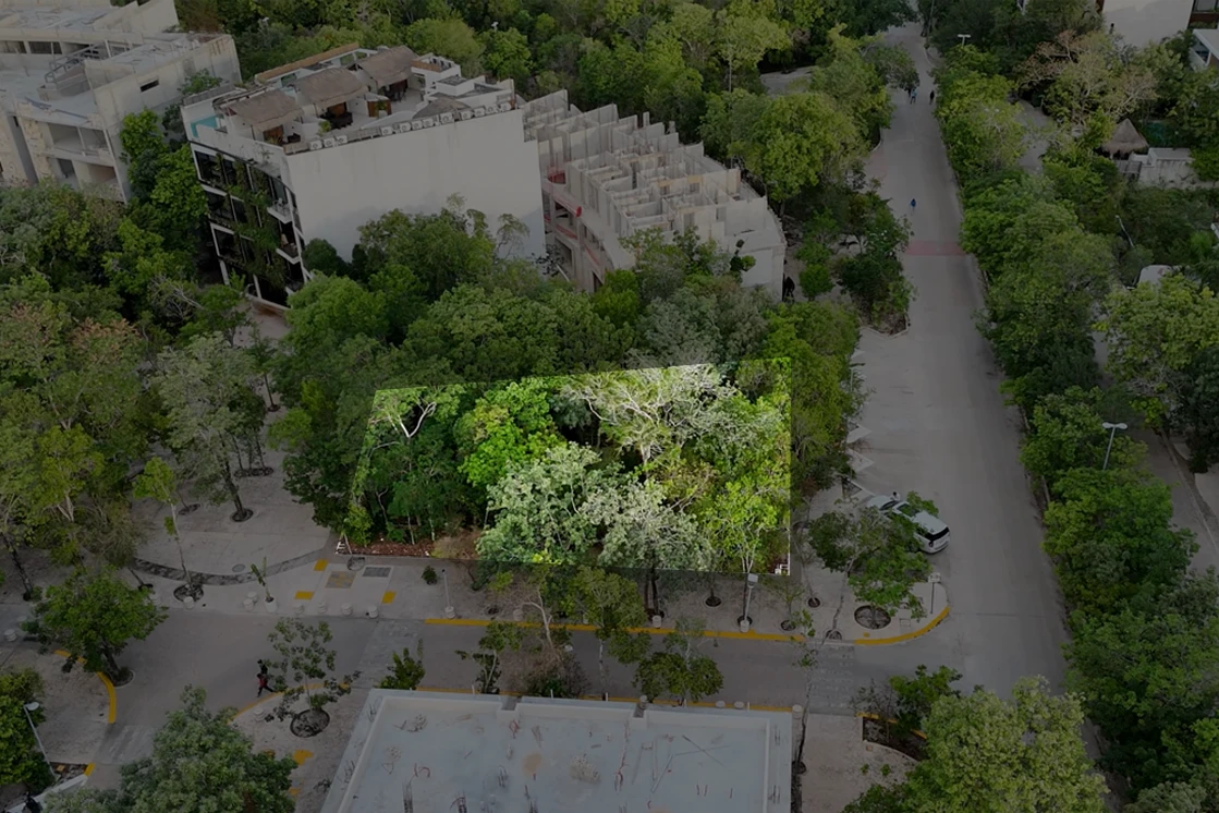 Aldea Zama Lots Feature