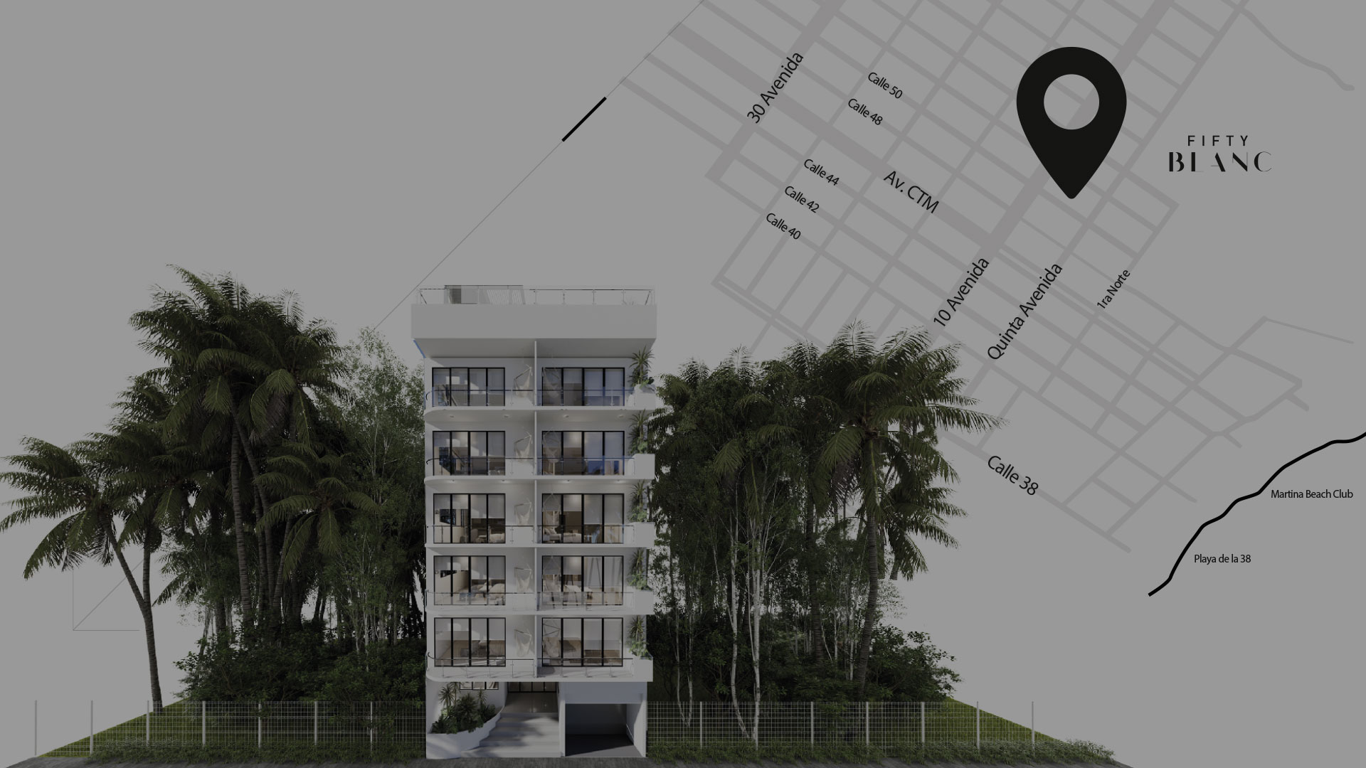 Fifty blanc location